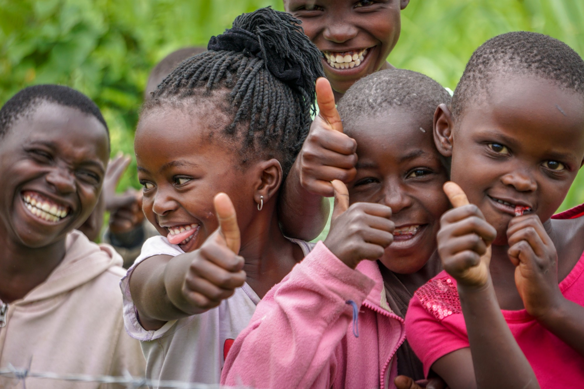 Impact Report – Completed Q1