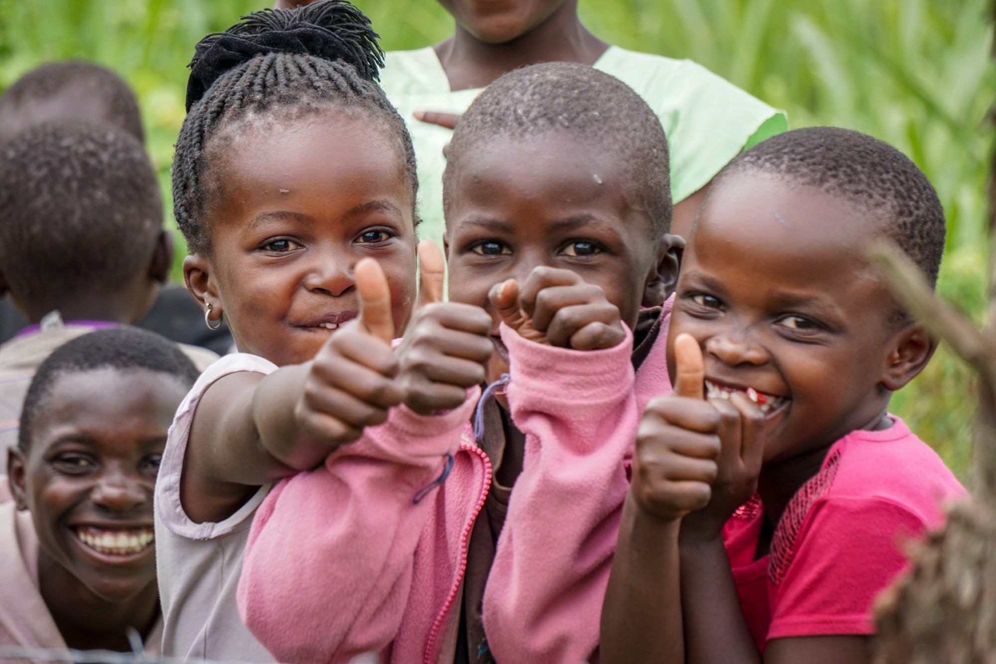 Impact Report – Completed Q2